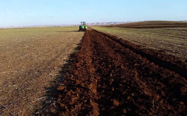 Pays agricole ?  Pas si agricole que ça