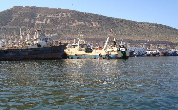 Une réunion se termine en queue de poisson à Agadir : Ces lobbies que la restructuration du secteur de la pêche dérange