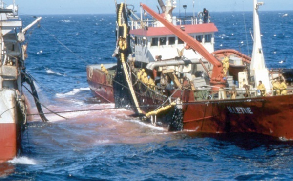 Manifestation à Cadiz pour la reconduction de l’accord de pêche Maroc-UE : Les filets de la discorde