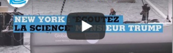 Sommet de l'ONU sur le climat : Greta Thunberg arrive en voilier à New York