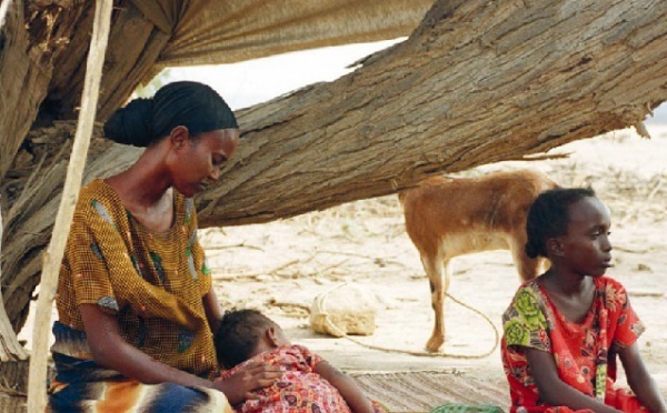 Le PIB de certains pays aurait enregistré un taux moyen de 6,1%, mais le recul de pauvreté n’a pas été au rendez-vous : Quelle croissance faut-il pour sortir l’Afrique de la pauvreté ?