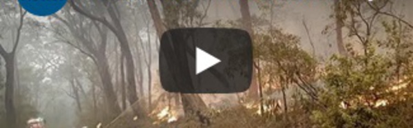 Incendies en Australie : 30.000 personnes invitées à évacuer
