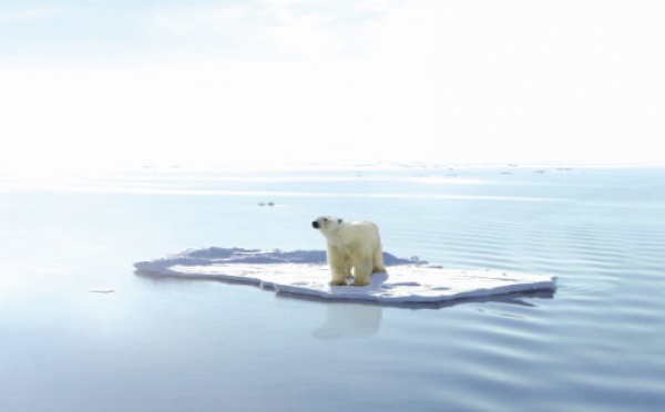 Réchauffement climatique : Des perspectives de plus en plus sombres