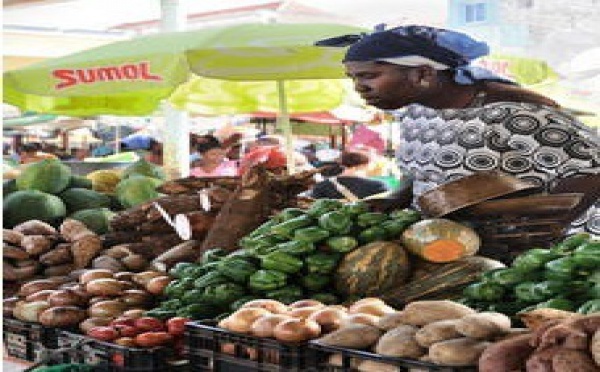 La banane et le manioc partent à l'assaut de la pomme de terre