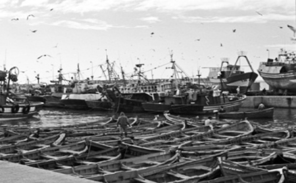 Le port de pêche  de Laâyoune paralysé