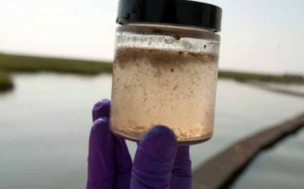 L’eau la plus vieille du monde découverte au Canada