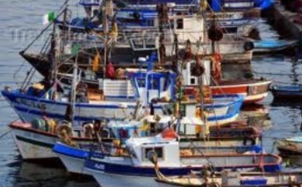 Distribution d’embarcations de pêche à Laâyoune
