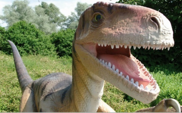 Les dents des dinosaures herbivores repoussaient tous les mois