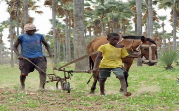 Les socles de la division en Côte d’Ivoire