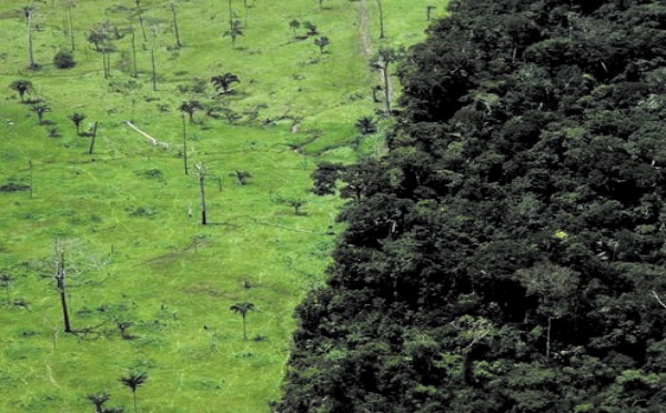 Le 20 août, l'humanité a déjà consommé toutes les ressources naturelles de l'année