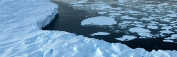 Trois graves menaces environnementales pèsent sur les océans