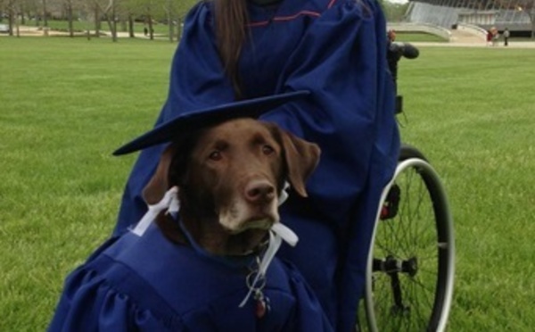 Insolite : Chien diplômé