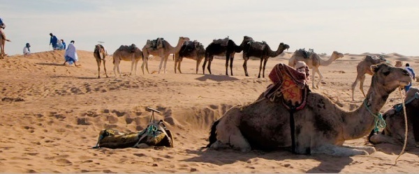 Les nomades de M’Hamid El Ghizlane en festival