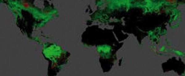 Une carte dévoile l’étendue de la déforestation dans le monde