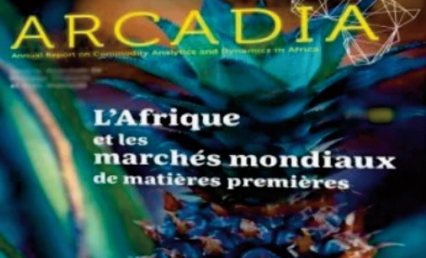 Présentation du rapport ARCADIA sur les matières premières en Afrique