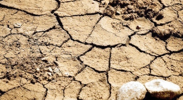 Lutte contre la désertification et la dégradation de l’environnement