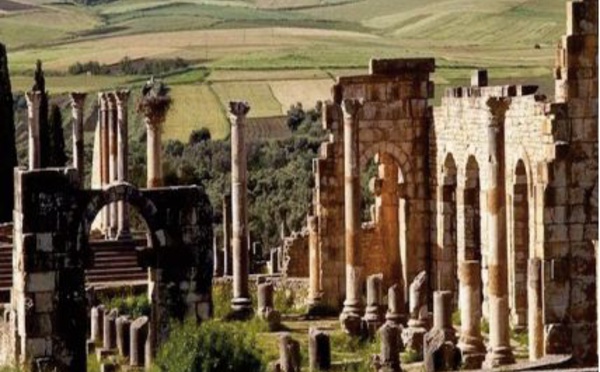 Lancement du projet de préservation des mosaïques historiques de Volubilis