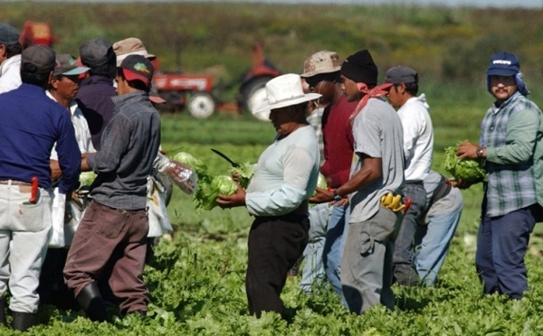 100.000 migrants viennent travailler chaque année en Europe