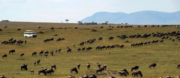 La crise du tourisme au Kenya