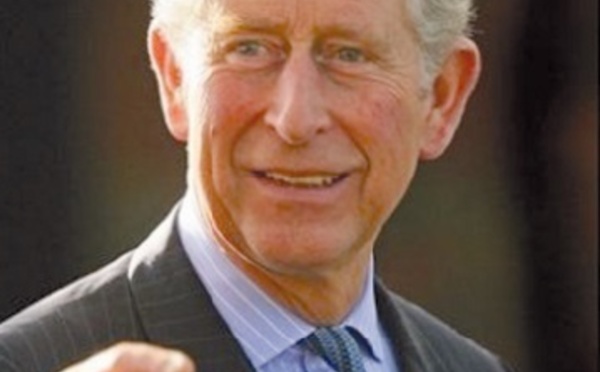 Les grands-parents les plus cool d’Hollywood : Le prince Charles