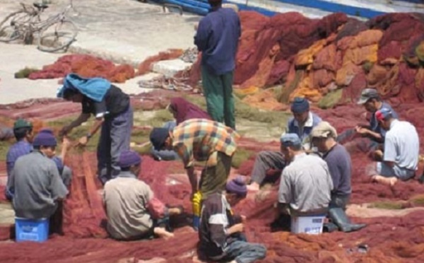 Les professionnels de la pêche voient rouge