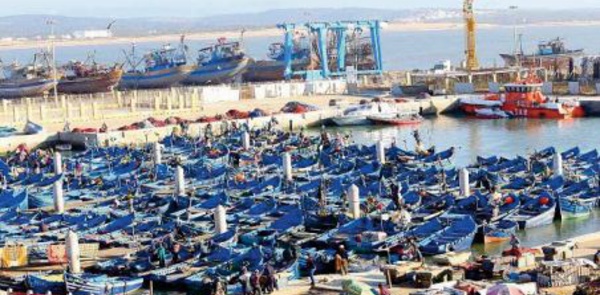 Les débarquements de la pêche côtière et artisanale dans le port d'Essaouira en hausse de 53% à fin juillet