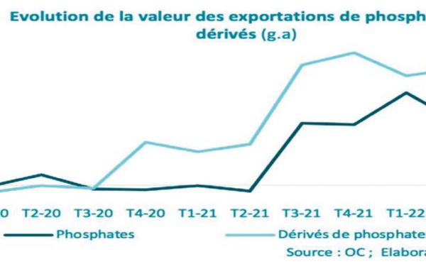 Les exportations de phosphates et dérivés restent sur une tendance haussière