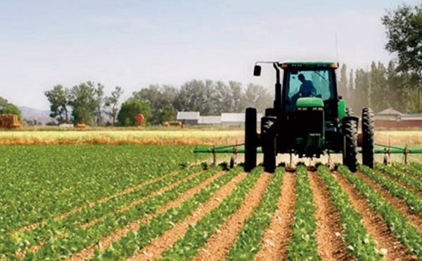 Repli des activités agricoles et hors agriculture au troisième trimestre