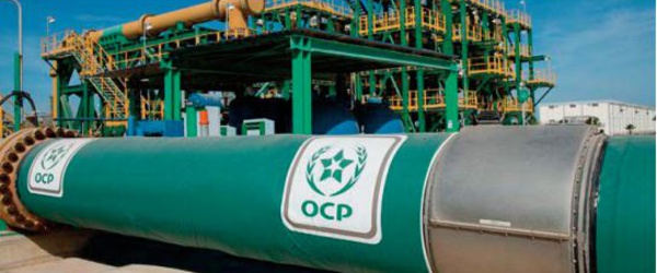 Le Groupe OCP consacre 4 Mt d'engrais au renforcement de la sécurité alimentaire en Afrique