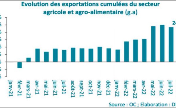 Les exportations du secteur agricole continuent de tenir bon