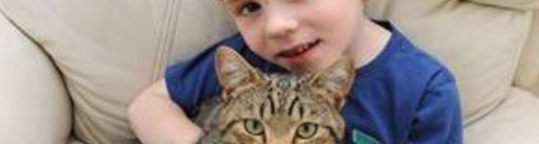 Insolite : Un enfant  sauvé par  son chat