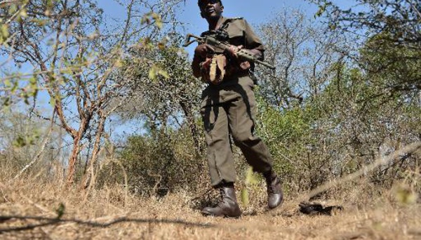 Ranger dans le Kruger: en première ligne de la guerre contre les braconniers