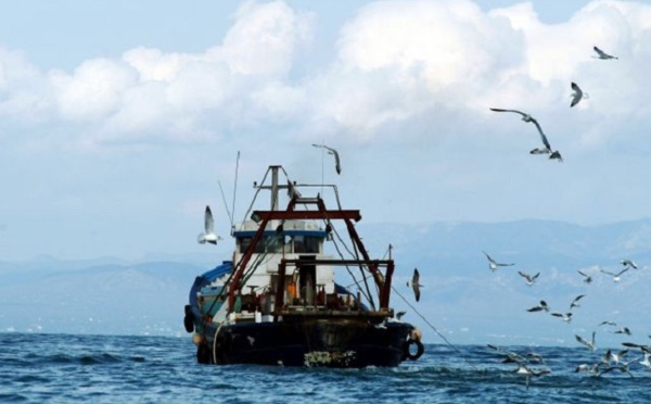 La flotte de pêche espagnole empêchée d’opérer au Maroc faute de licences