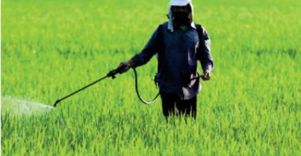 Fertilisants: Les initiatives d’OCP Africa mises en avant à Nairobi