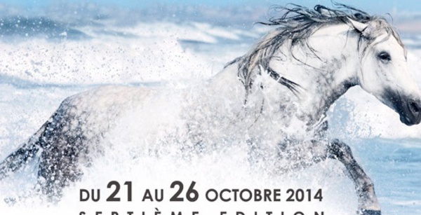 ​Le Salon du cheval da'El Jadida, un évènement aux multiples dimensions