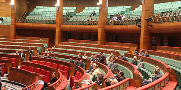 La loi organique relative à la Cour constitutionnelle en débat