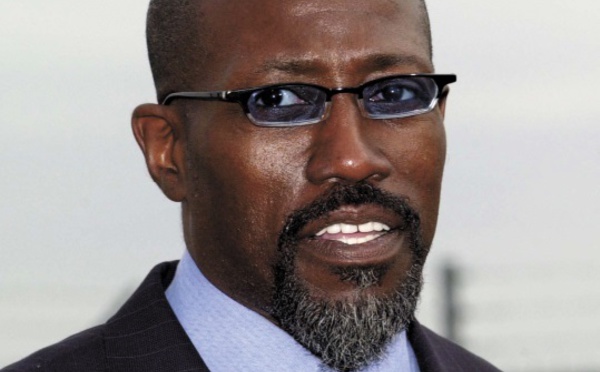 Les stars qui ont perdu de l'argent ou qui ont fait faillite : Wesley Snipes