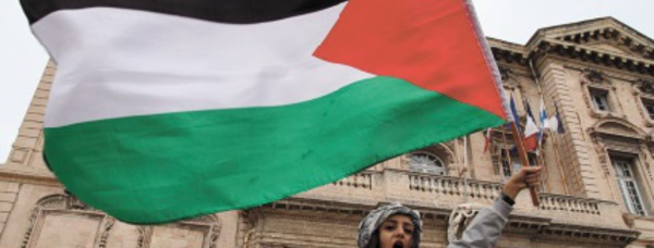 ​Les députés français votent en faveur de la reconnaissance de l'Etat palestinien