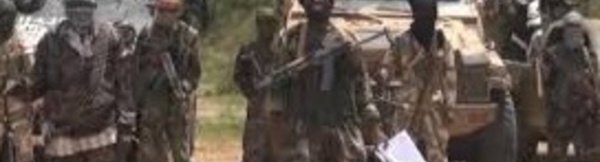 ​Boko Haram attaque et pille deux villes nigérianes