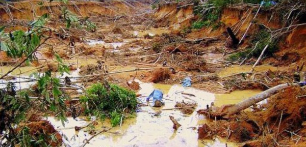 La ruée vers l'or provoque une catastrophe écologique dans l'Amazonie péruvienne