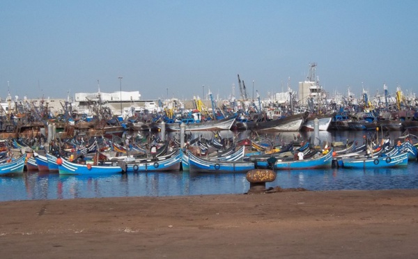 44 hauturiers bravent l’interdiction de pêche édictée par le département d’Akhennouch