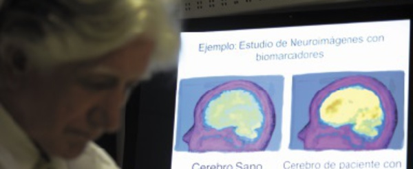 En Colombie, une "malédiction" pour guérir la planète d'Alzheimer