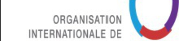 Pourquoi l’Organisation internationale de la francophonie a mis le cap sur l’économie