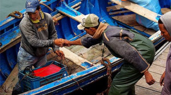 Les professionnels de la pêche côtière mécontents