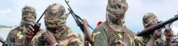 ​La France déploie un détachement de  liaison au Niger pour contrer Boko Haram