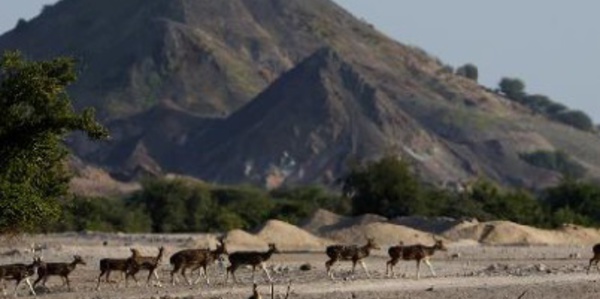 ​Une île en "Arche de Noé" comme un anti-Dubaï