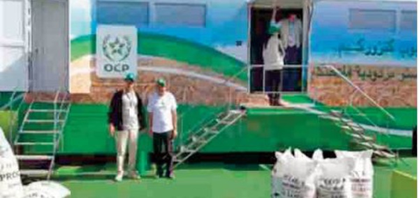 Economie sociale et solidaire : La Fondation OCP accompagne plus de 800 coopératives marocaines et africaines