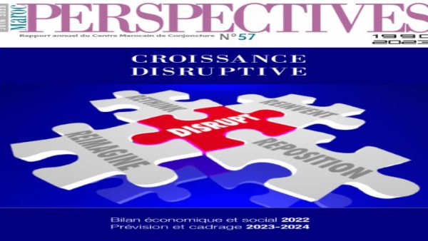 Le CMC publie un nouveau numéro du bulletin thématique sur la "Croissance disruptive"