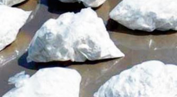 Ouverture d'une enquête pour déterminer l’origine et les pistes de trafic de 1,37 tonne de cocaïne