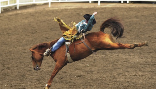 Les festivals à voir une fois dans sa vie : Le stampede de Calgary (Canada)